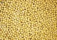 Soybeans