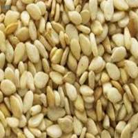 Sesame Seeds