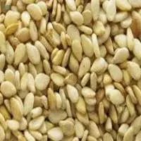 Sesame Seeds