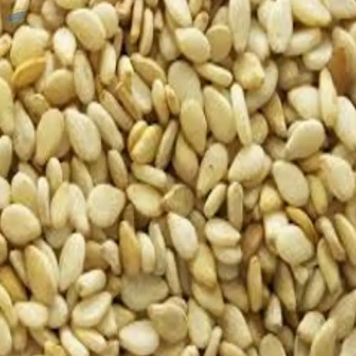 Sesame Seeds