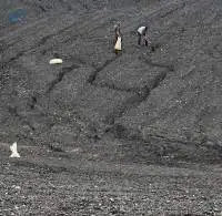Thermal Coal