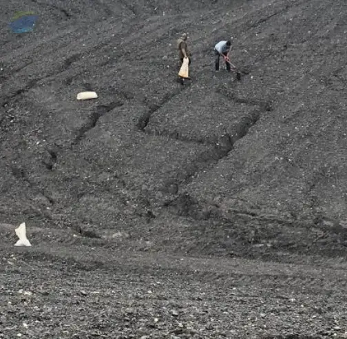Thermal Coal