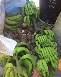 Green Banana
