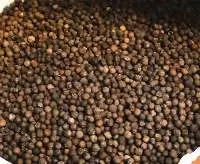 Pimento Seeds