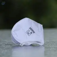 N95 Face Mask