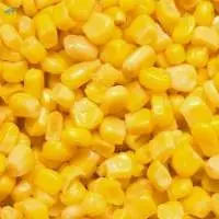 Frozen Sweet Corn