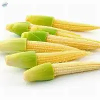 Frozen Baby Corn