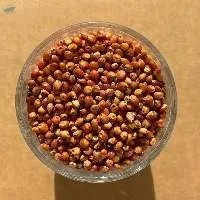 Red Sorghum