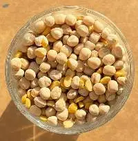 Whole Yellow Peas