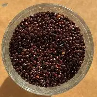 Black Millet