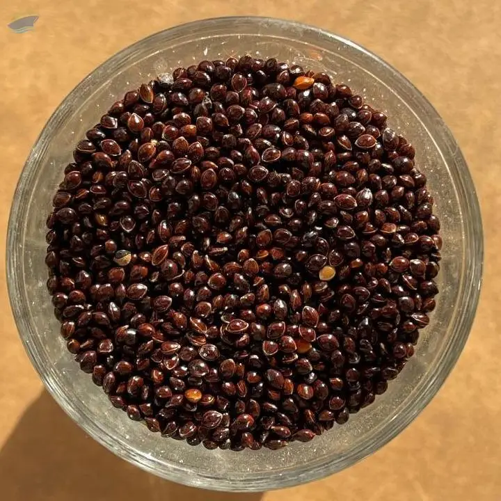 Black Millet