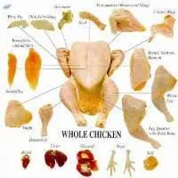 Chicken Parts 