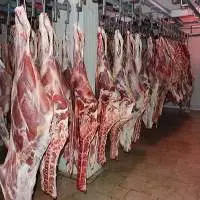 Fresh Frozen Beef