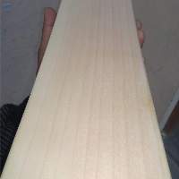 English Willow Bat