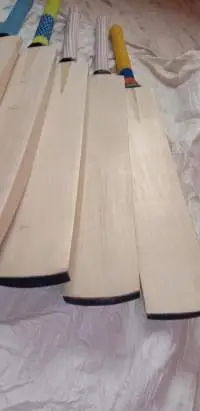 Plain Kashmir Willow Grade 1 Quality Bats