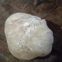 Gum Resin