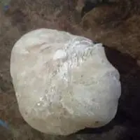 Gum Resin