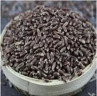 Black Wheat