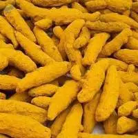 Turmeric Finger