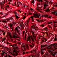 Dry Red Chilli