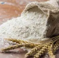 Wheat Flour (Atta)