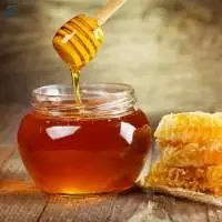 Sweet Clover Honey