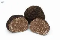 Truffle 