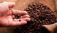 Colombian Coffee
