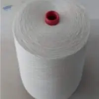 Aloe Vera Yarn