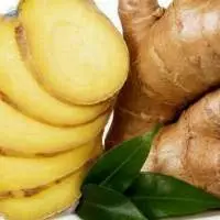 Ginger