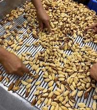 Brazilian Nuts