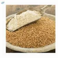 Wheat Flour