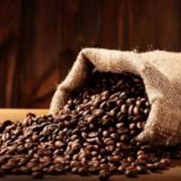Indian Arabica Coffee Beans