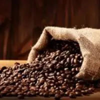 Indian Arabica Coffee Beans