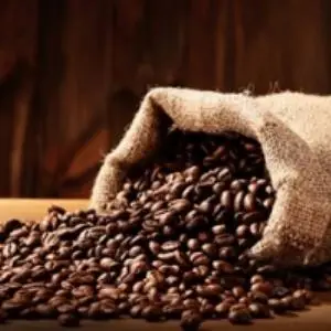 Indian Arabica Coffee Beans