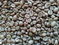 Indian Robusta Coffee Beans