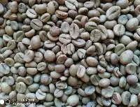 Indian Robusta Coffee Beans