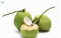 Coconut Tender