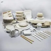 Biodegradable Tableware