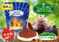 Chaga Extract