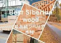 Red Pine Timber, Sawn Timber