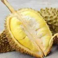 Fresh Durian Fruit Monthong, Ri6 Best Price