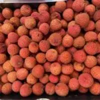 Fresh Lychee/Litchi/Lichee From Vietnam