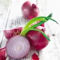 Fresh Red Onion High Quality Best Price Vietnam
