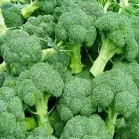 Vietnam Frozen Broccoli With Best Price.