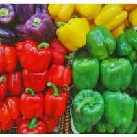 Supplying Frozen Capsicum Best Price