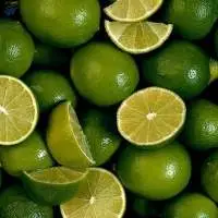 Supplying Fresh Lime Best Price
