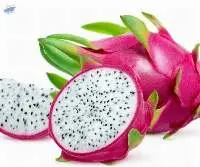 Fresh Dragon Fruit  