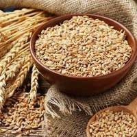 Wheat