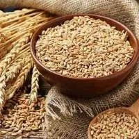 Wheat